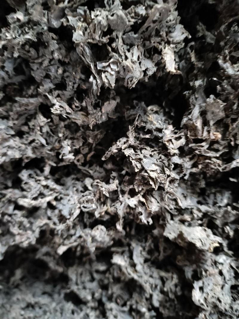 免洗地皮菜精品