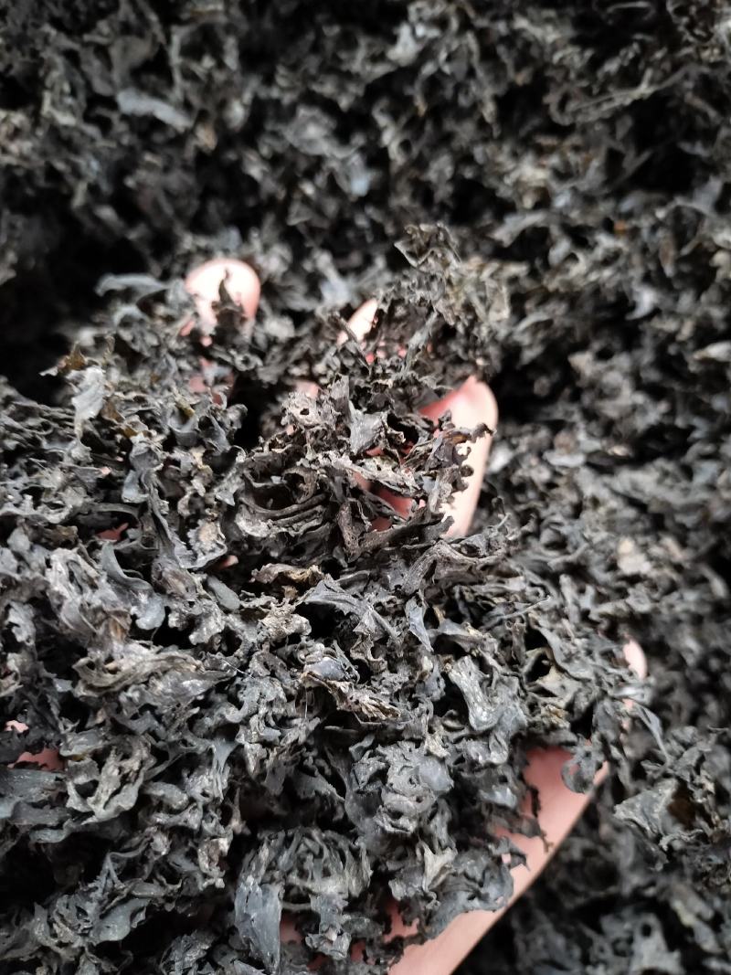 免洗地皮菜精品