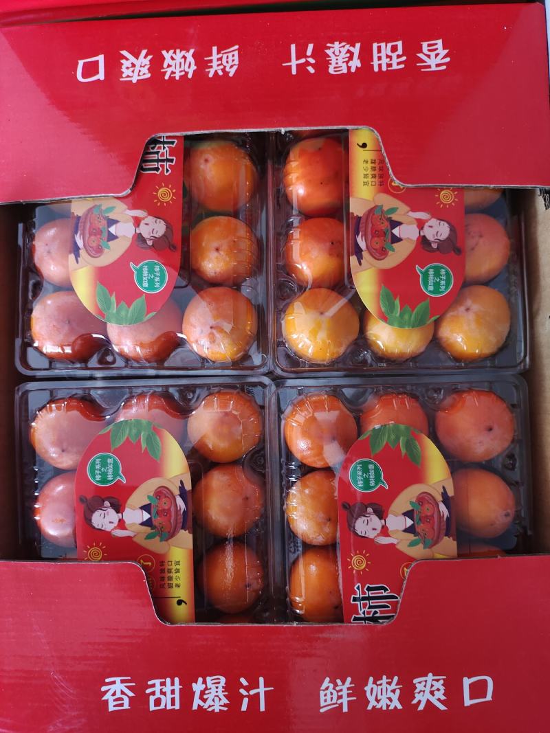 灵宝冷库十万斤精品吊红柿子出售