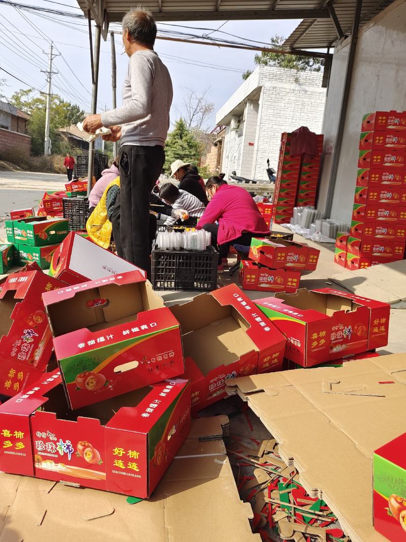 灵宝冷库十万斤精品吊红柿子出售