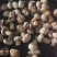 盐水菇有500吨价格4000———-8000