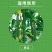 双星10%灭蝇胺黄瓜美洲斑潜蝇农药杀虫剂杀虫