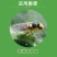 双星10%灭蝇胺黄瓜美洲斑潜蝇农药杀虫剂杀虫