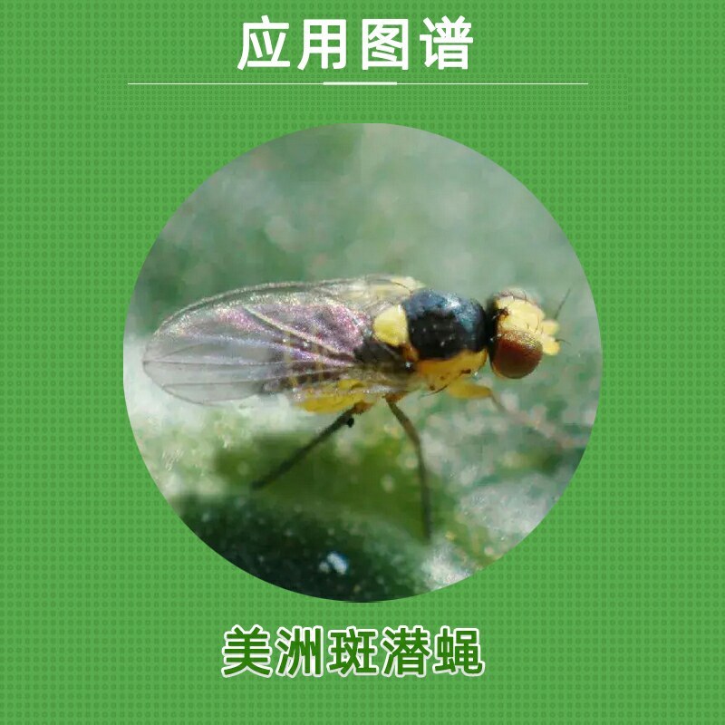 双星10%灭蝇胺黄瓜美洲斑潜蝇农药杀虫剂杀虫