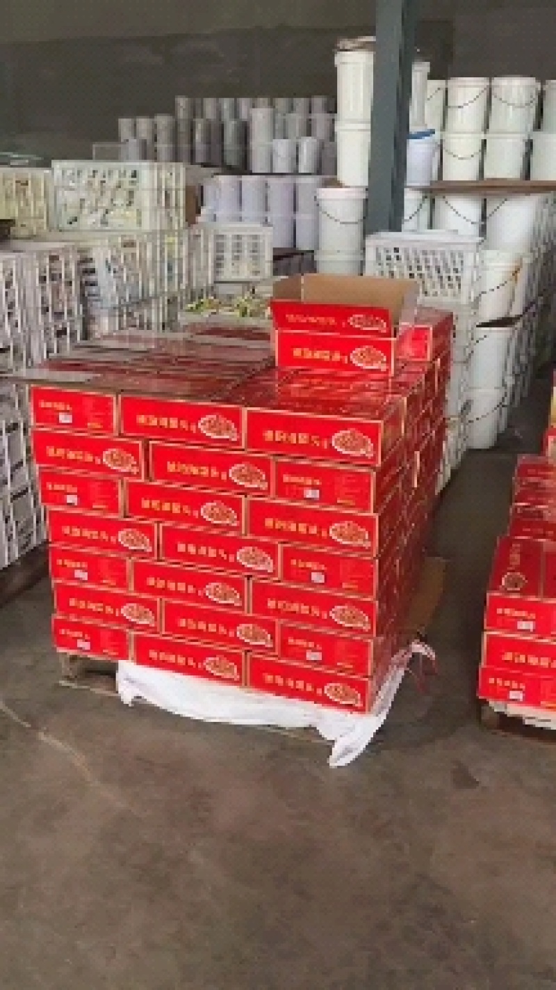 即食海蜇支持贴牌口感好一手货源
