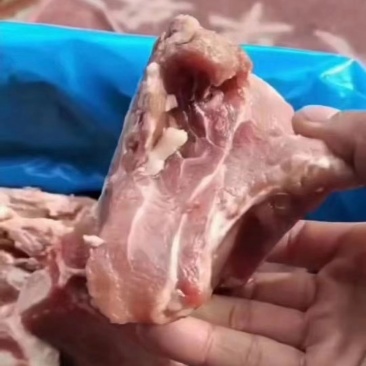 臀骨实拍图挂肉率高品质很好臀骨