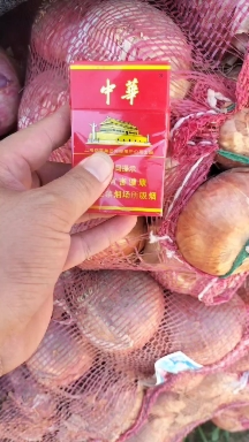 淮阳紫皮洋葱。质量保证，全国代发。可视频看货欢迎来电