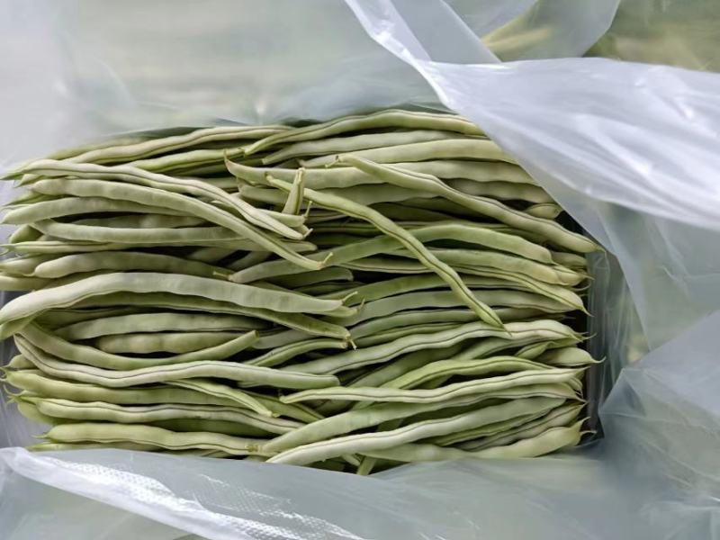 精品豆角
