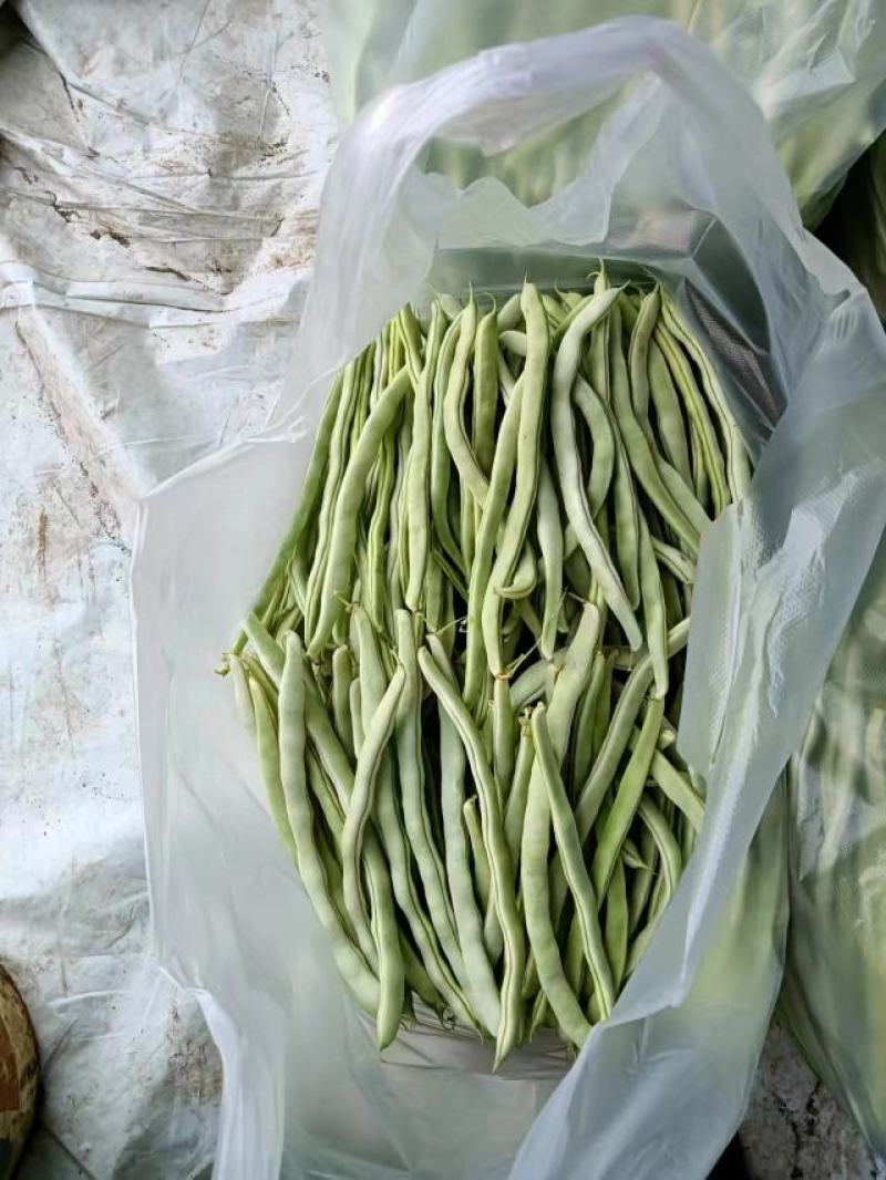 精品豆角