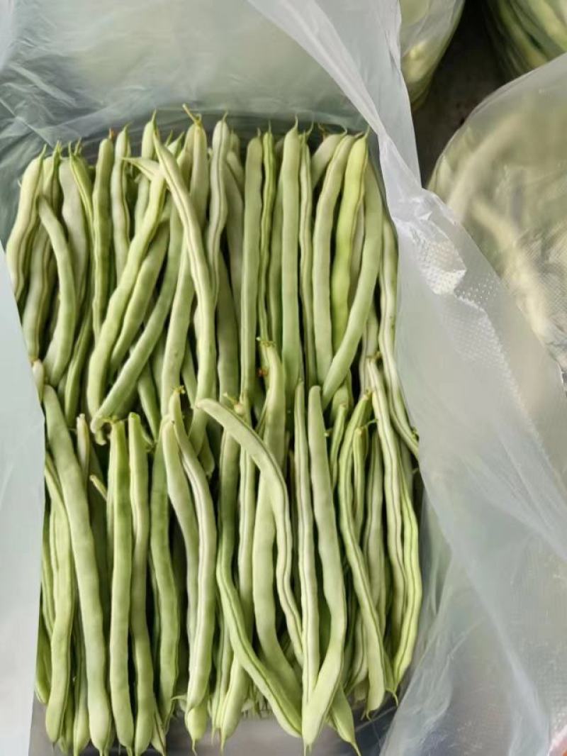 精品豆角