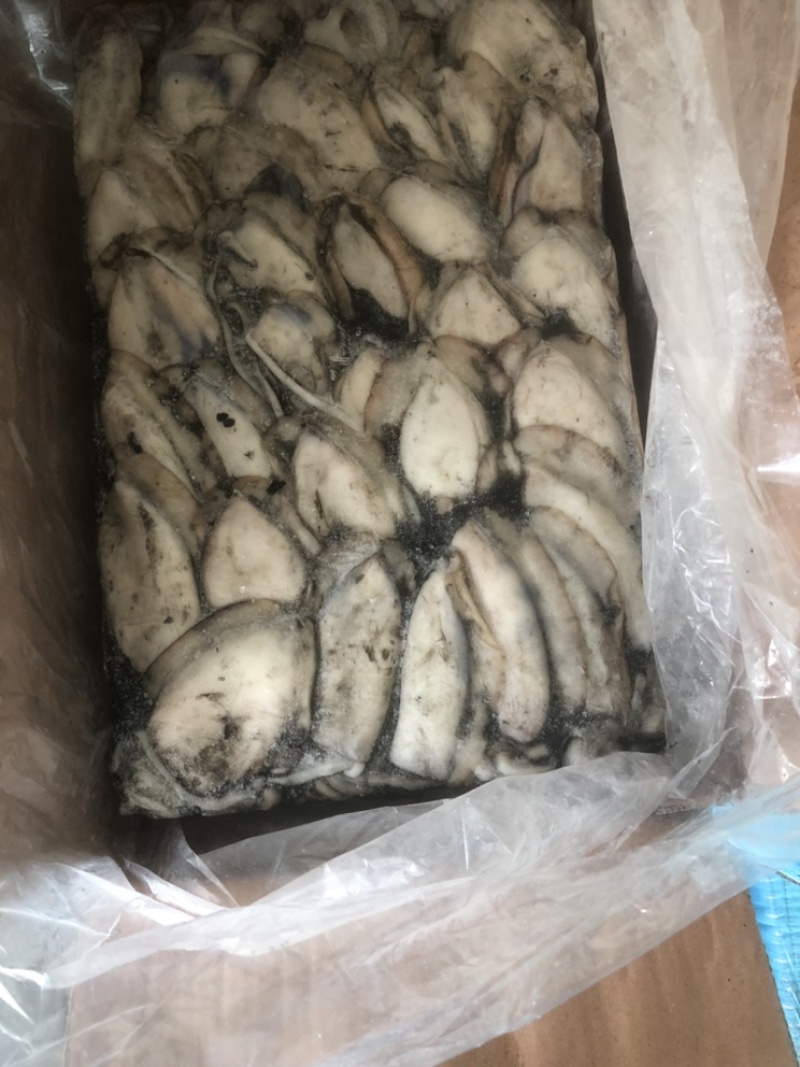 大墨鱼墨鱼卤水墨鱼天然墨鱼新鲜墨鱼冰冻墨鱼整只墨鱼