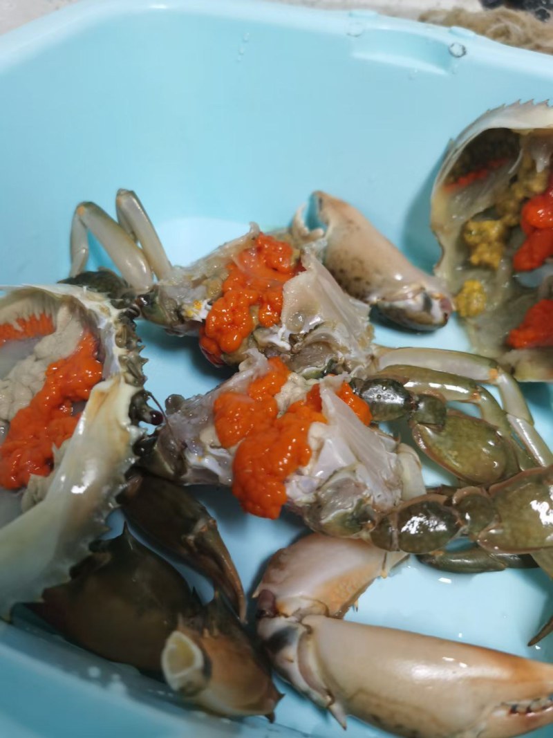 鳞网白鲳鱼
