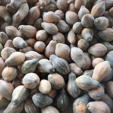 精品香芋南瓜软糯香甜大量有货欢迎联系下单