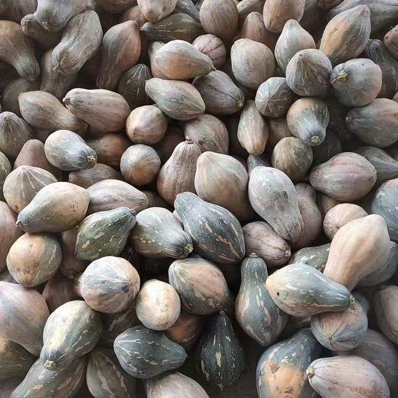 精品香芋南瓜软糯香甜大量有货欢迎联系下单