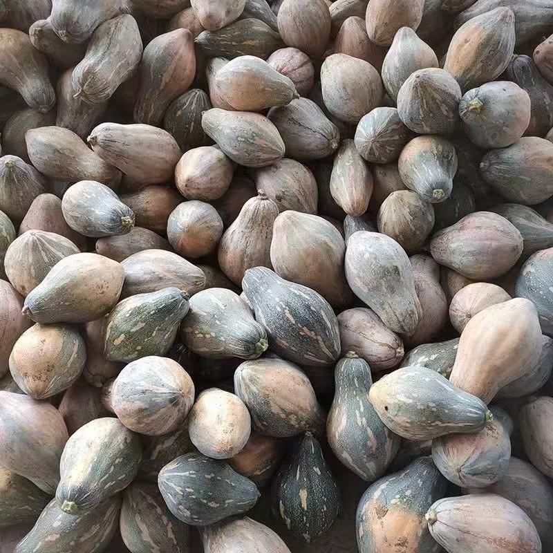 精品香芋南瓜软糯香甜大量有货欢迎联系下单