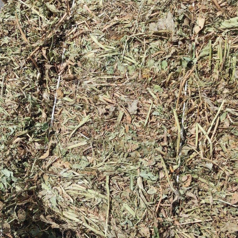 有膜花生秧小方捆，牛羊的好饲料，含蛋白高
