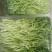 雨旺种植专业合作社芽苗菜