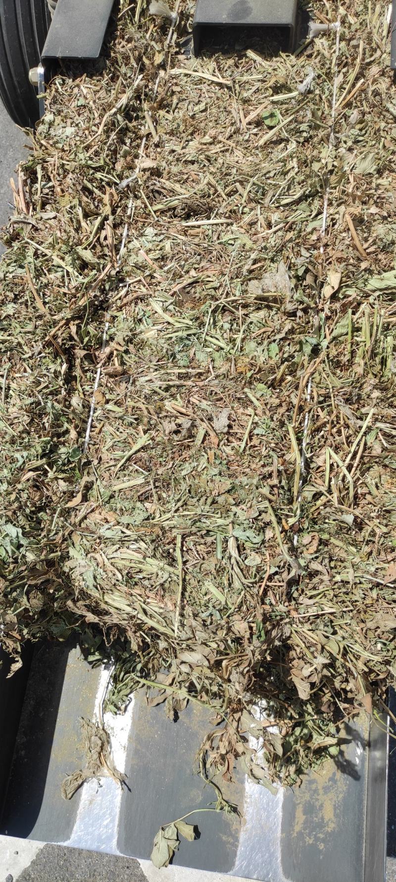 有膜花生秧小方捆，牛羊的好饲料，含蛋白高