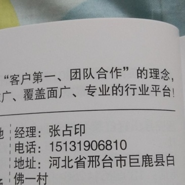 经营各种红薯