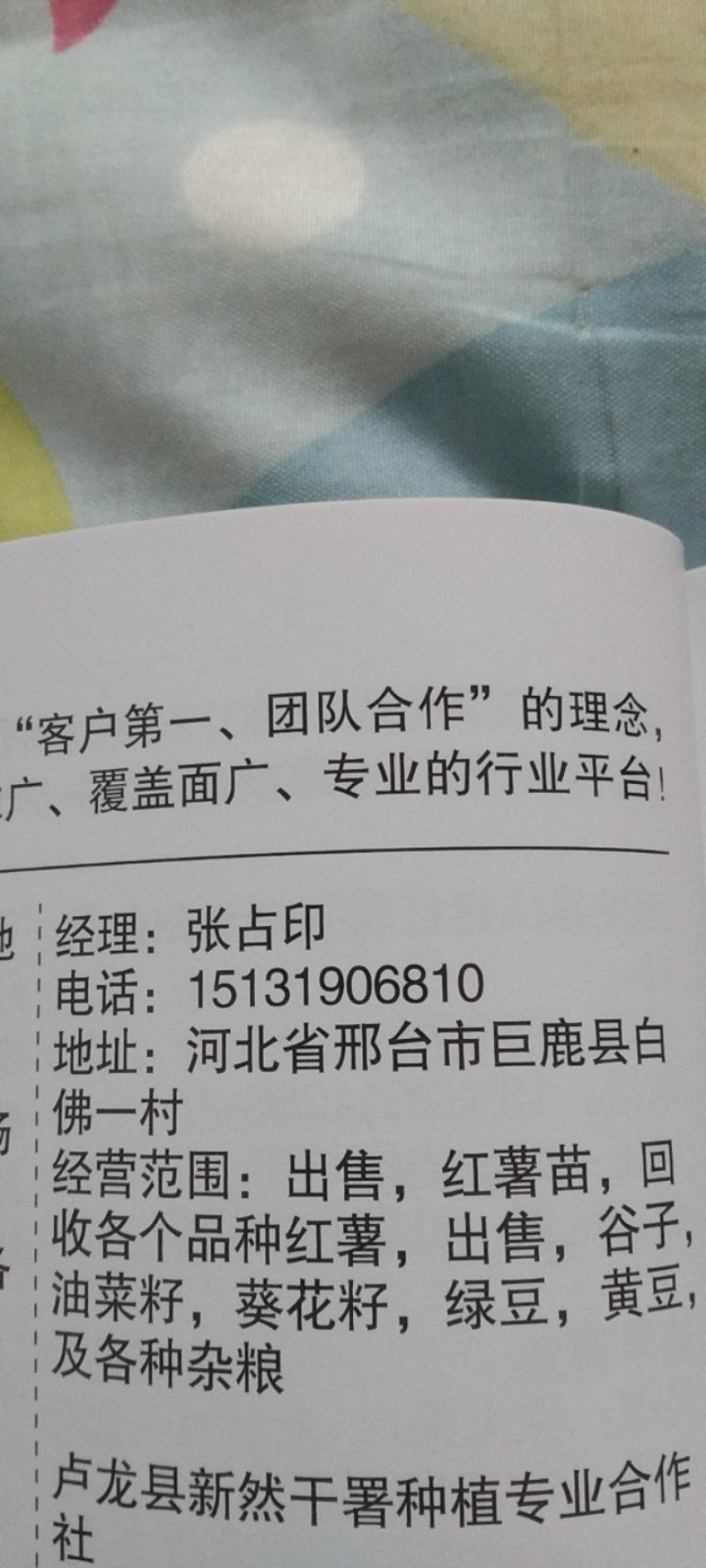 经营各种红薯