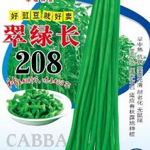 翠绿豇豆种子翠绿长208抗寒耐热结荚多长条产量高