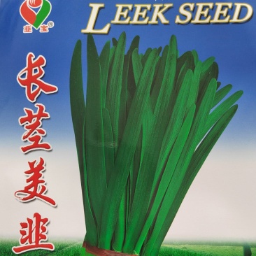 长颈美韭种子河南韭菜种子一代交配种子质量保障视频看货