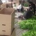万亩龙椒，线椒，螺丝椒，尖椒原产地。9月10号左右上市