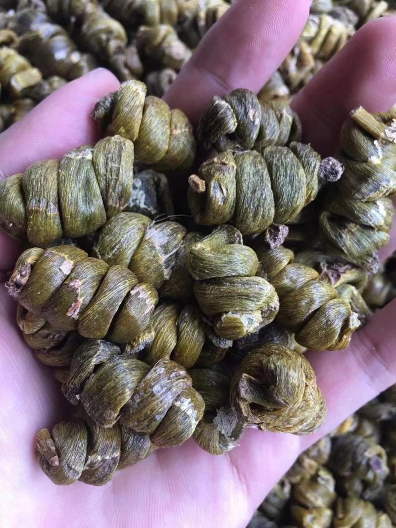 特价云南产地珍虫石斛珍虫枫斗空心虫枫斗批发1斤包邮