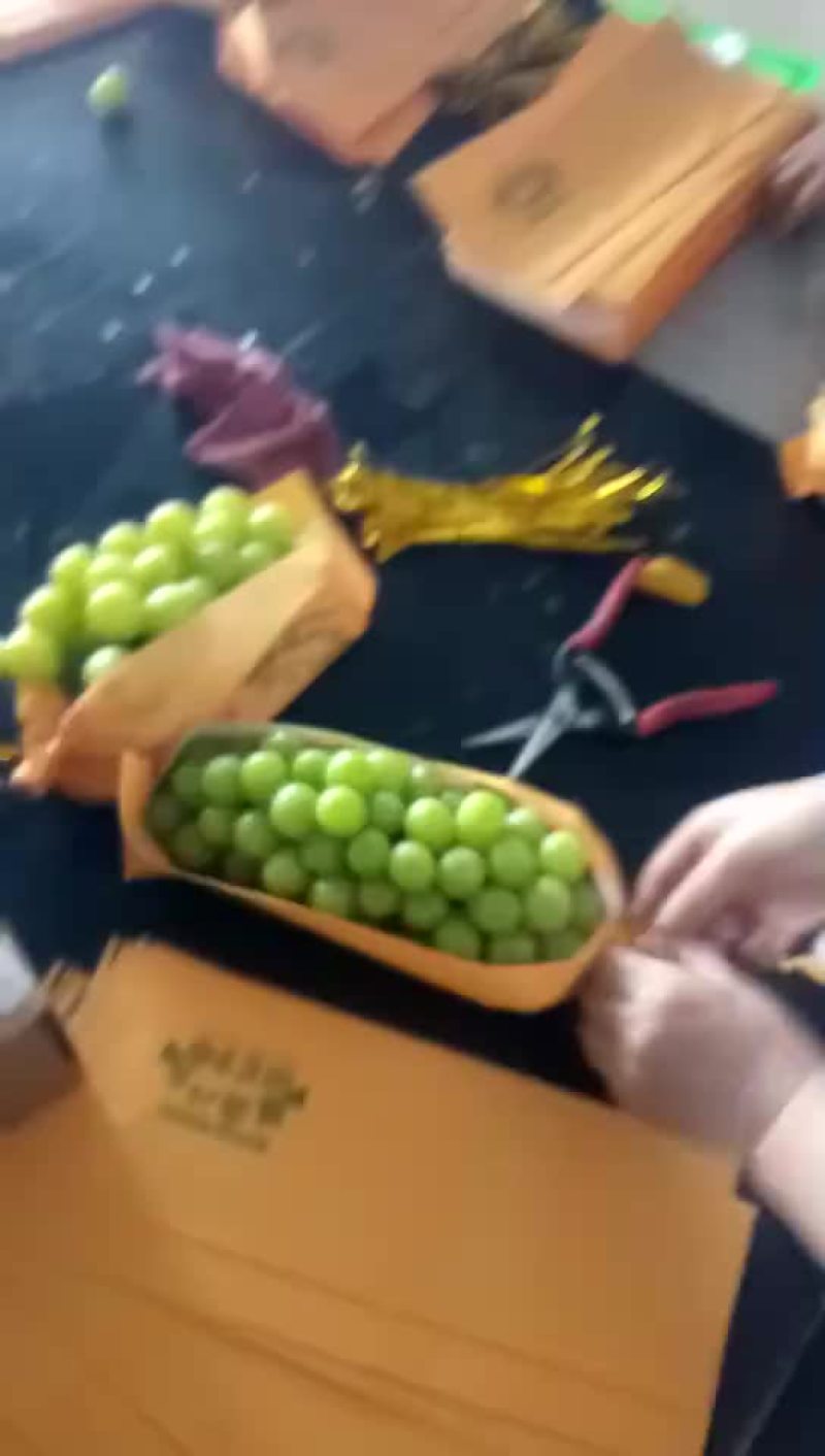阳光玫瑰葡萄苗，50万棵，夏黑根，贝达根，5bb嫁接苗