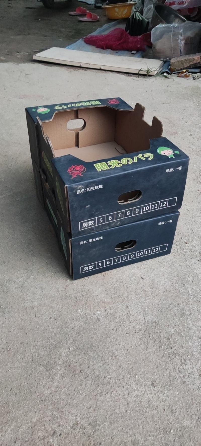 阳光玫瑰葡萄苗，50万棵，夏黑根，贝达根，5bb嫁接苗