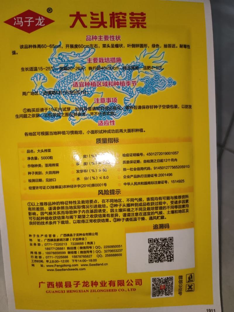 大头榨菜种子，清香催嫩