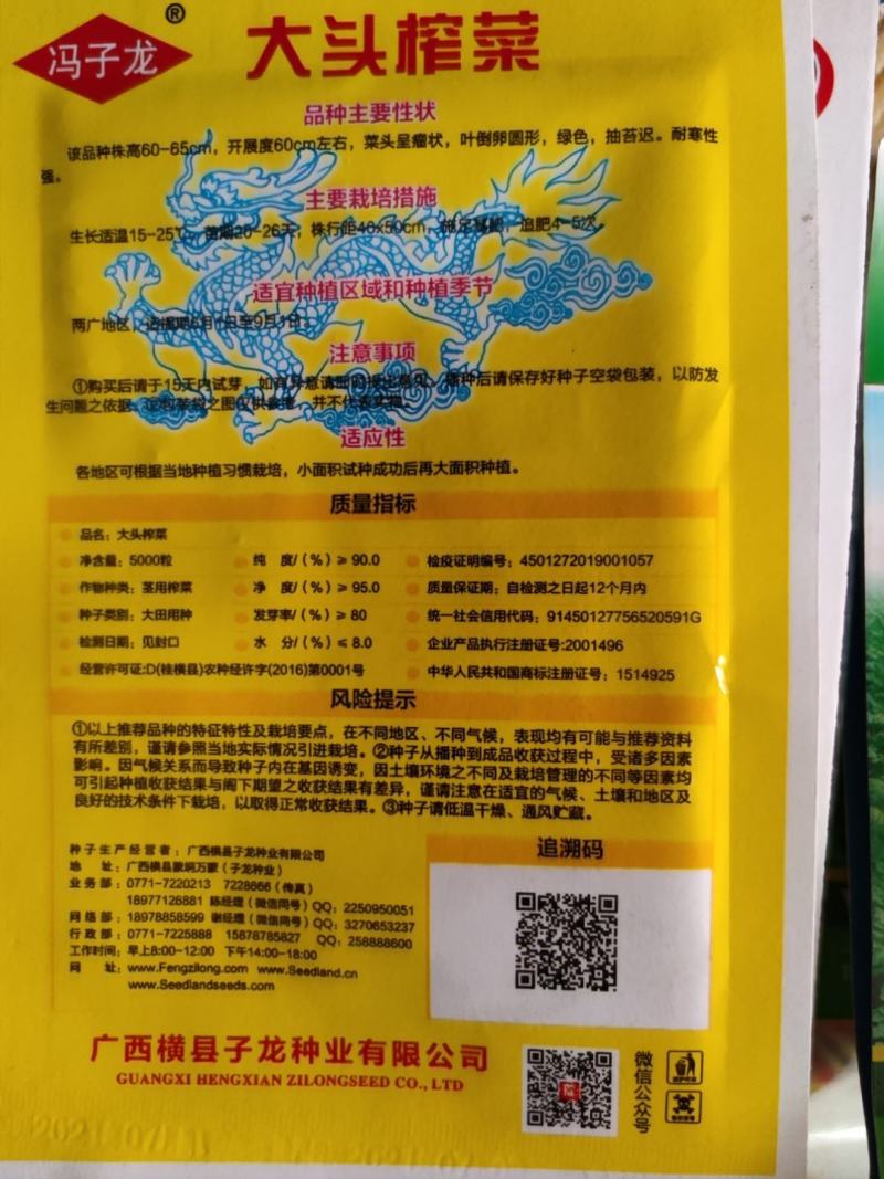 大头榨菜种子，清香催嫩