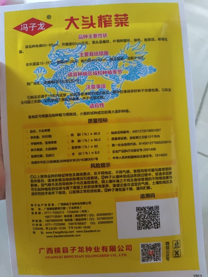 大头榨菜种子，清香催嫩