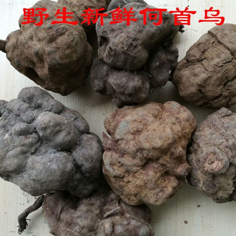 贵州何首乌野生新鲜现货包邮脱掉生发白头发变黑发泡茶煲汤合