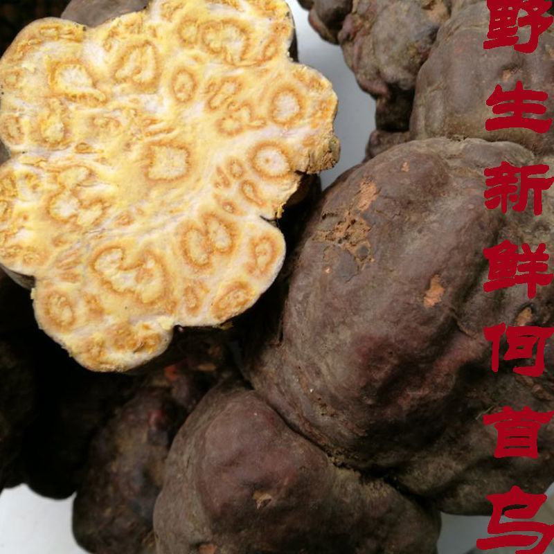 贵州何首乌野生新鲜现货包邮脱掉生发白头发变黑发泡茶煲汤合