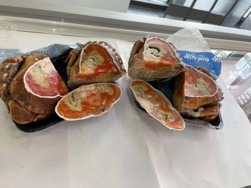 面包蟹面包蟹深海黄道蟹母蟹600/800400/600