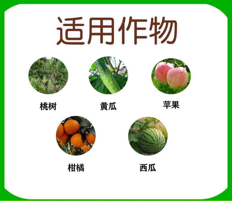 巴斯夫成标80%硫磺柑橘疮痂病西瓜黄瓜柑橘白粉桃树褐斑病