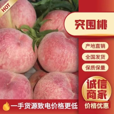 突围，早生，春雪毛桃应季上市大量有货质优价廉。