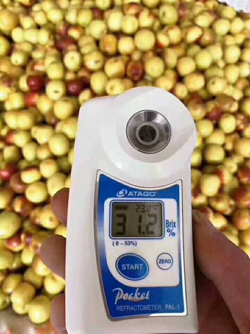 《诚信老店》陕西大荔冬枣鲜枣对接电商200吨冷库代收代存