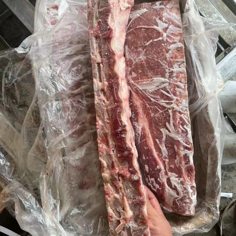 母猪龙骨