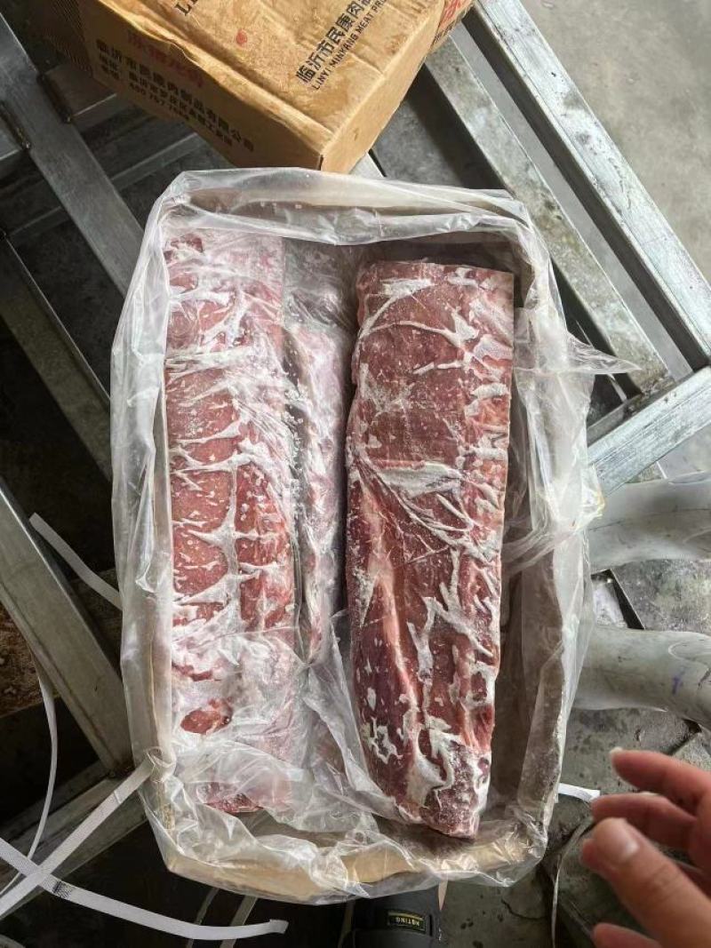 母猪龙骨