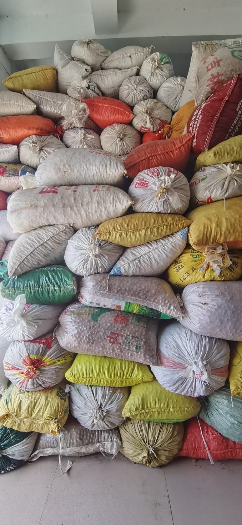桃核优质山桃核贵州产地当季新货生桃核毛桃核