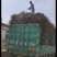 【推荐】葡萄树，占地葡萄树专产地发货，现刨现挖，存活率高