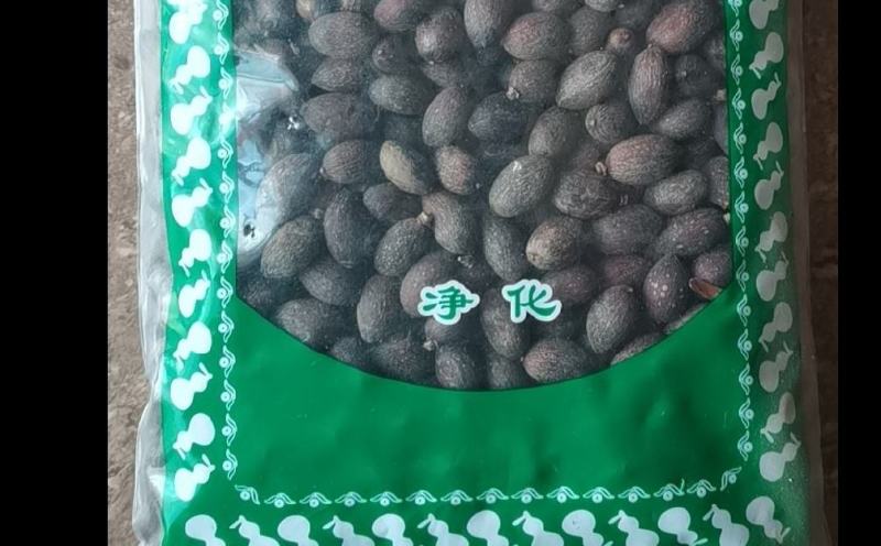 蒲葵子葵树子初级农产品批发零售不满意可退换货