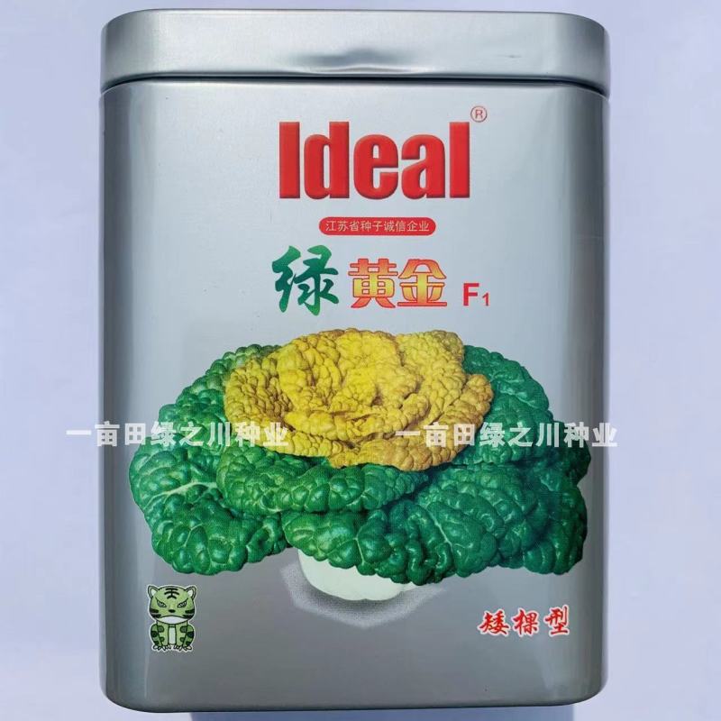 特矮黄心乌种子黄心早纤维少耐寒性强，理想绿黄金黄心菜种子