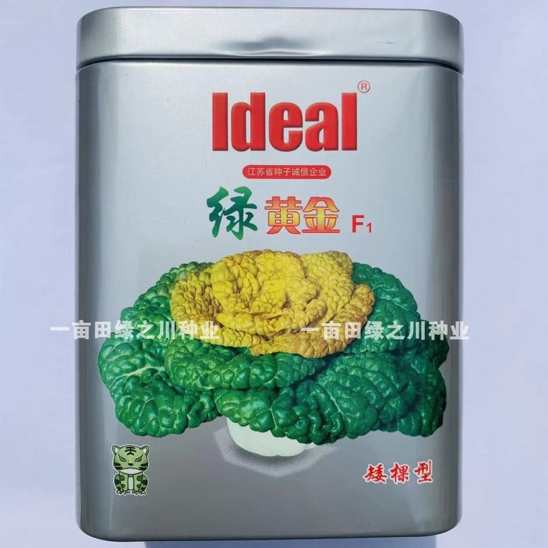 特矮黄心乌种子黄心早纤维少耐寒性强，理想绿黄金黄心菜种子