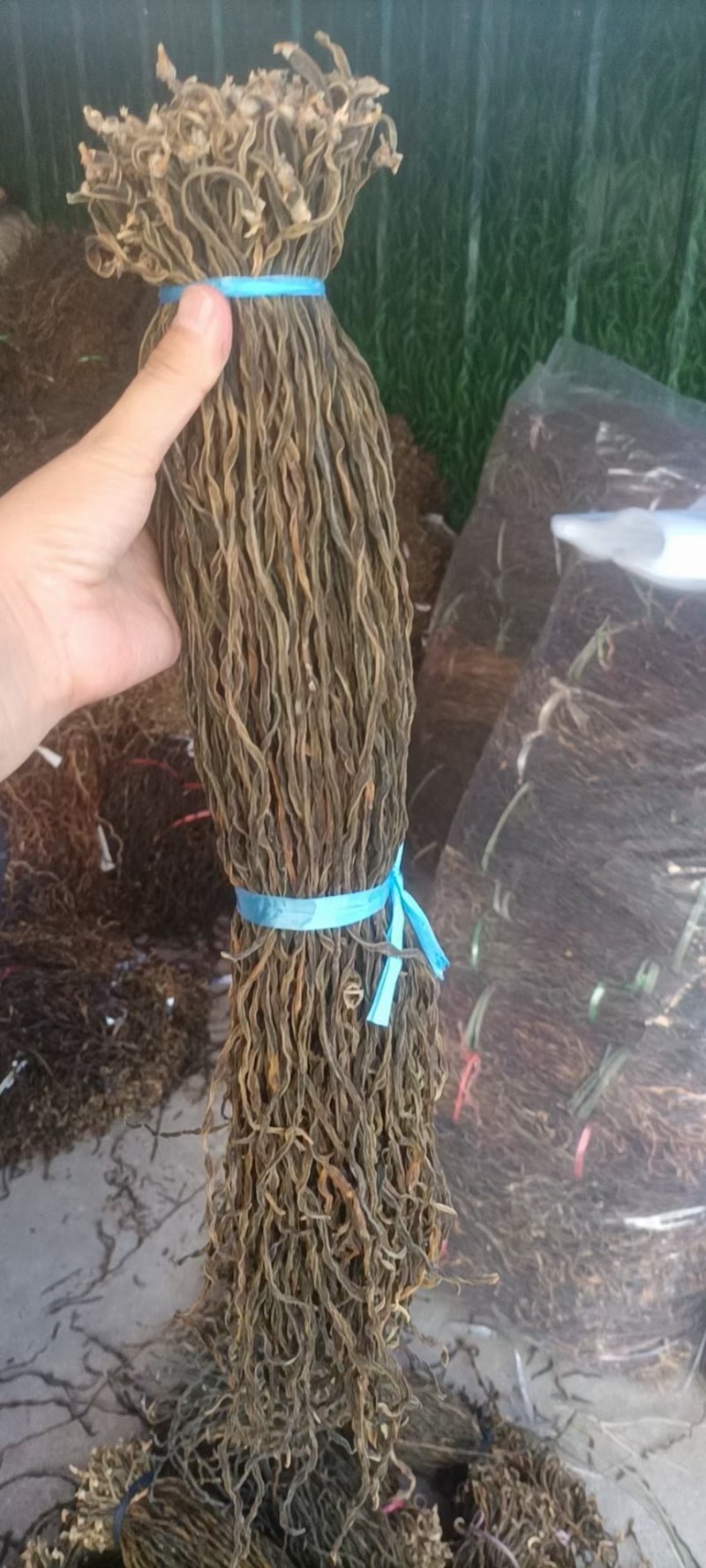 大量供应精品干四季豆，干豇豆干豆角全国发货欢迎订购。