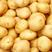【推荐】云南精品黄心土豆，一手货源，品质保障，可实地看货