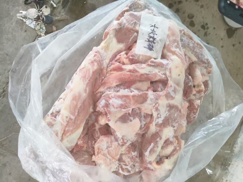 大块精碎肥猪猪肉冷冻猪副产品国产现货