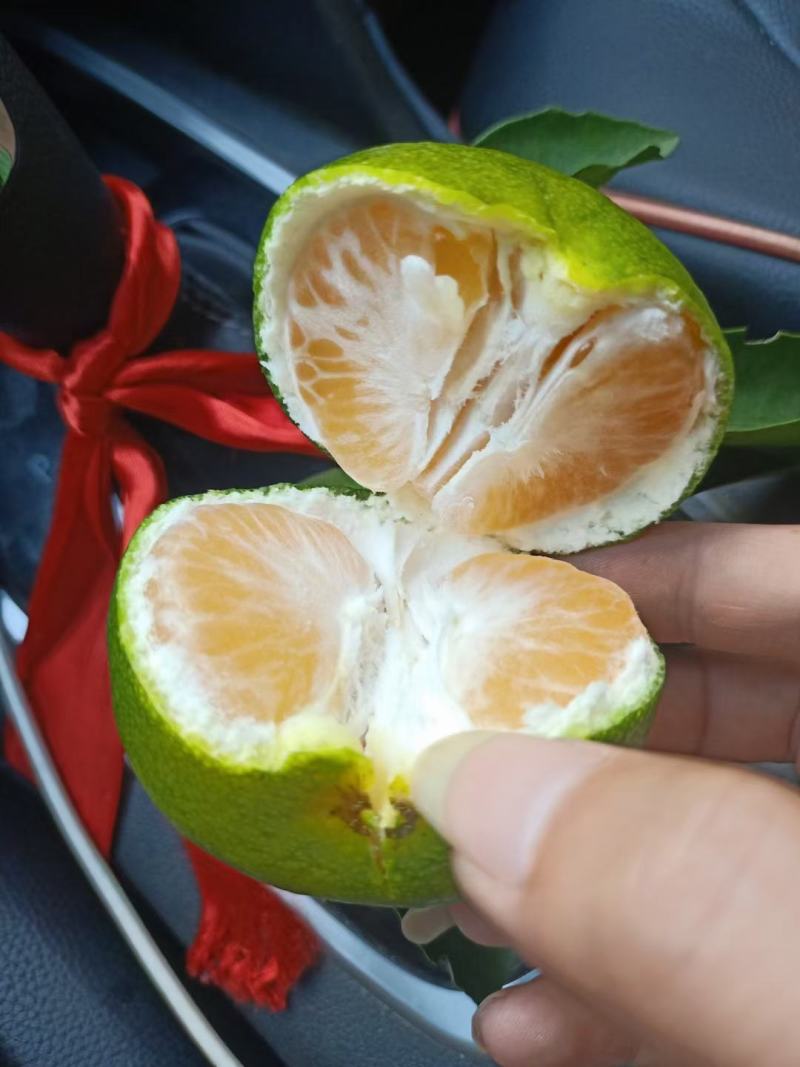 广西特早蜜橘大芬大量上市55起步皮薄化渣